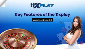 Key Features of the 11xplay