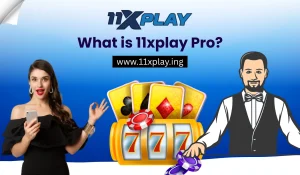 What is 11xplay Pro